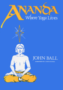 Cover of book is blue with yellow and white type.  There is a white and yellow illustration of a person in a yoga position.