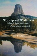 cover of Burton's book is a painting of a towering Native American sacred site in the West