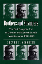 The cover of Brothers and Strangers is green, with an image of a bearded man wearing a kippah, repeated six times.
