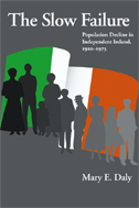 cover of Daly's book is an illustration of several generation of Irish people in front of an Irish tri-color flag